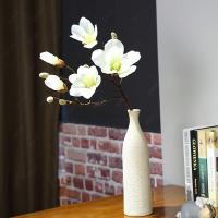 uploads/erp/collection/images/Home Garden/CongDing/XU0612462/img_b/XU0612462_img_b_1